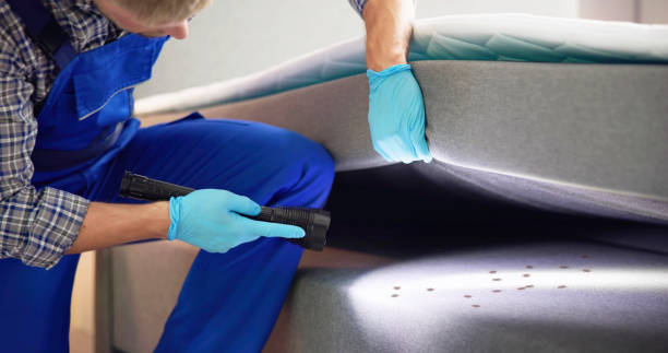 Best Emergency Pest Control  in Sultan, WA