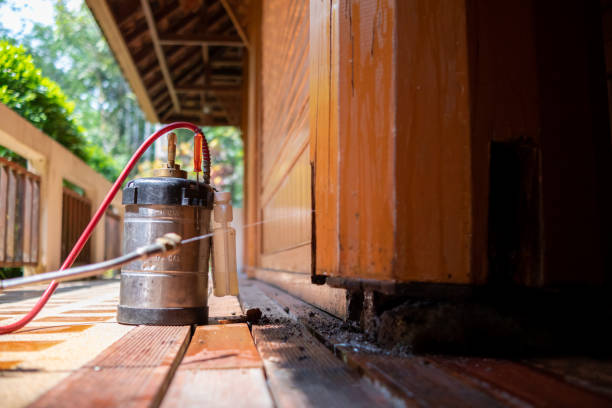 Best Bed Bug Extermination  in Sultan, WA