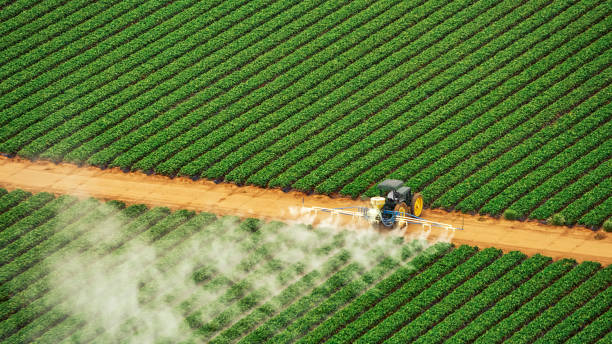 Best Pest Control Near Me  in Sultan, WA