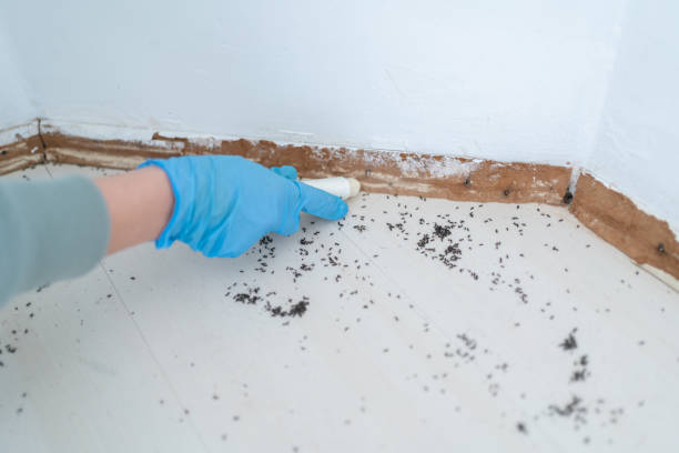 Best Pest Prevention Services  in Sultan, WA